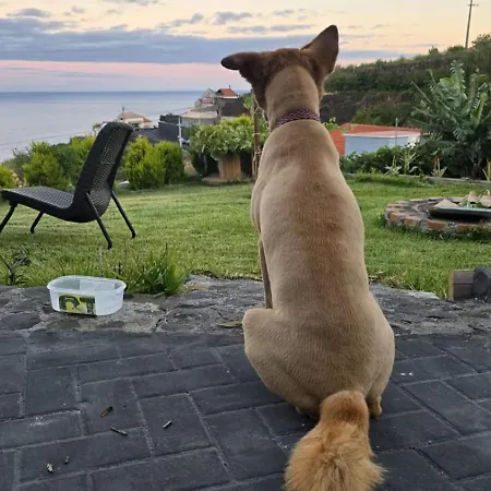 Villa The Goat's Place Iii