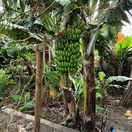 The Goat's Place Iii Villa Gaula