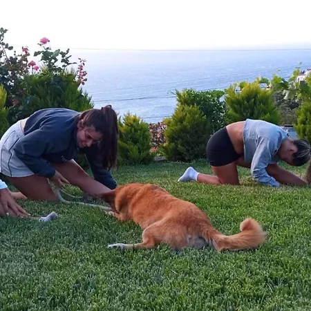 Villa The Goat's Place Iii