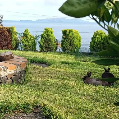 The Goat's Place Iii Villa Gaula