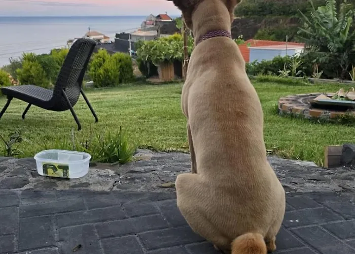 别墅 The Goat's Place Iii