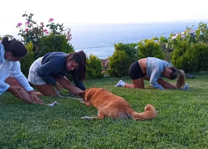 别墅 The Goat's Place Iii