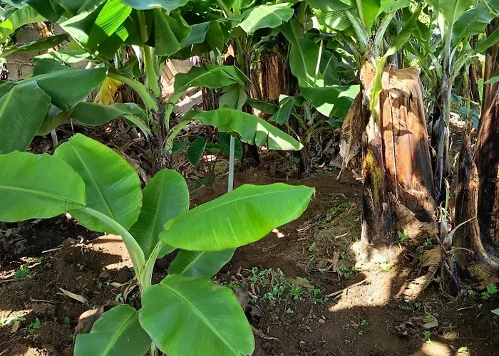 别墅 The Goat's Place Iii *