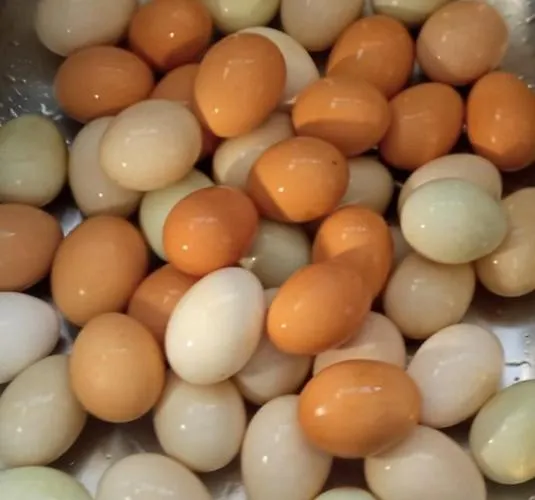 The Goat's Place Iii 别墅